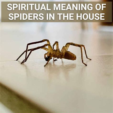 The Symbolism of Spiders in Dreams: A Biblical Perspective